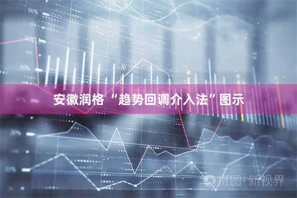 安徽润格 “趋势回调介入法”图示
