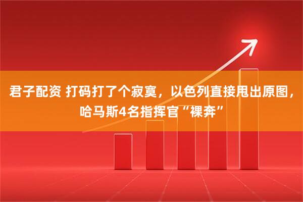 君子配资 打码打了个寂寞，以色列直接甩出原图，哈马斯4名指挥官“裸奔”