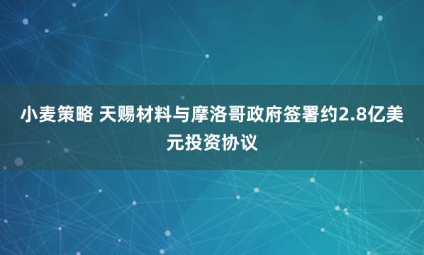 小麦策略 天赐材料与摩洛哥政府签署约2.8亿美元投资协议