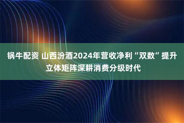 锅牛配资 山西汾酒2024年营收净利“双数”提升 立体矩阵深耕消费分级时代