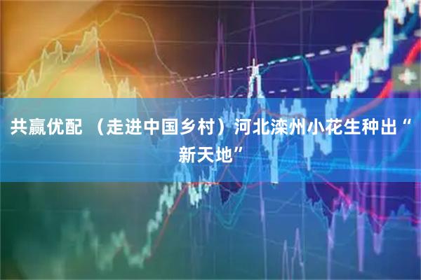 共赢优配 （走进中国乡村）河北滦州小花生种出“新天地”