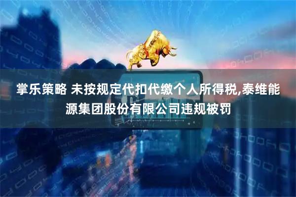 掌乐策略 未按规定代扣代缴个人所得税,泰维能源集团股份有限公司违规被罚