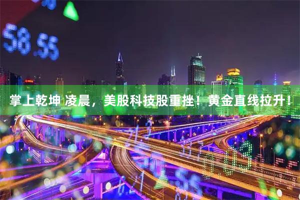 掌上乾坤 凌晨，美股科技股重挫！黄金直线拉升！